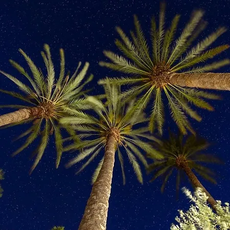 Palm Garden 3* Nicosia