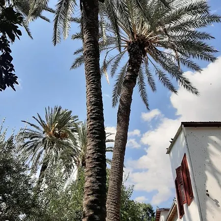 Palm Garden 尼科西亚