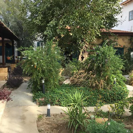 Palm Garden 尼科西亚